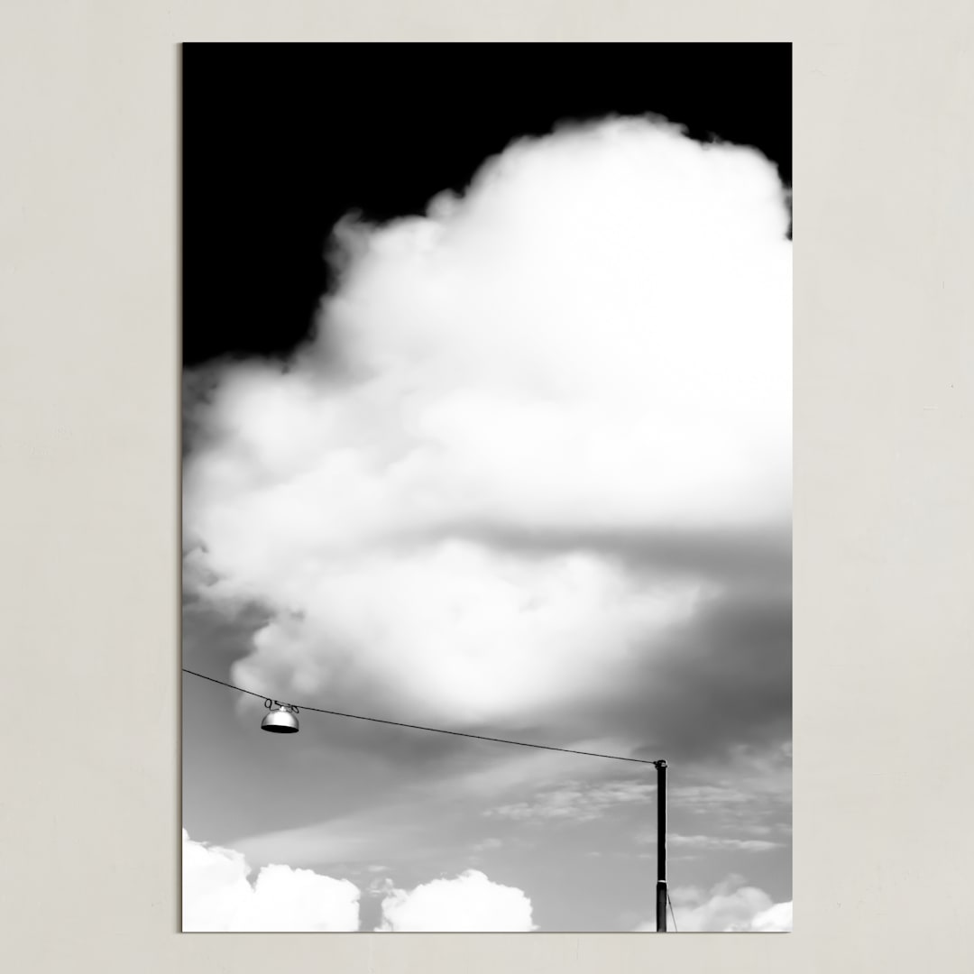 "Fyris" - Art Print in Black and White by Lisa Sundin - Unframed