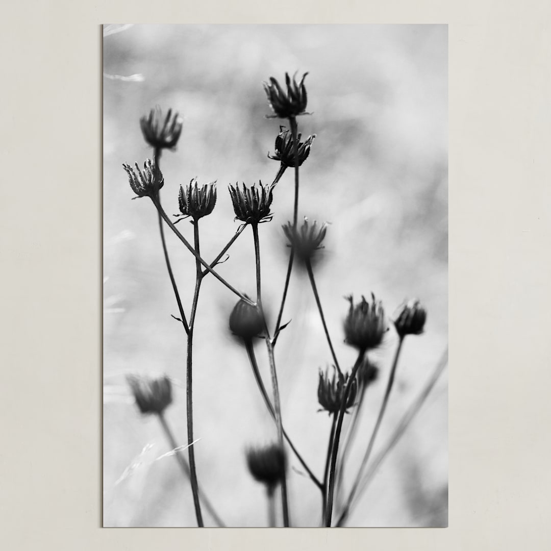 "Autumn detail" - Art Print in Fog by Magdalena Kucova - Unframed