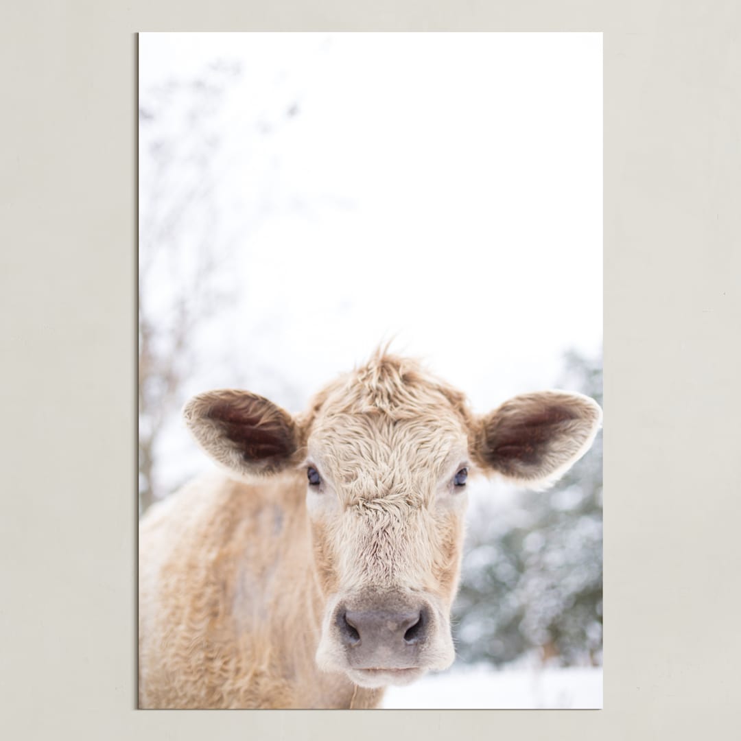 "moo cow" - Art Print in Burlap by Emily Gilbert - Unframed