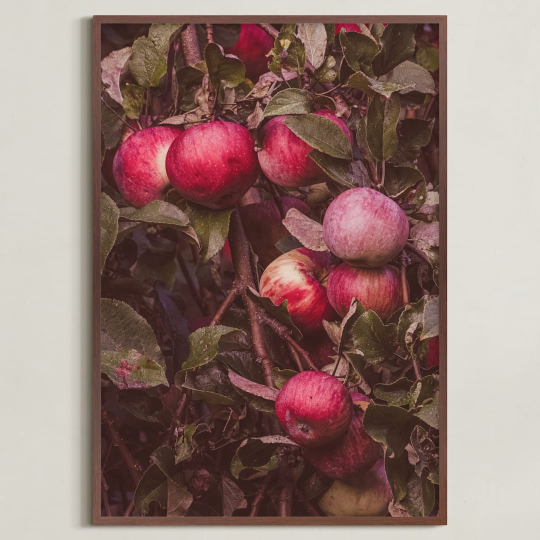 "Apple Season" - Art Print in Ripe Red by Justine Bicknell - Framed