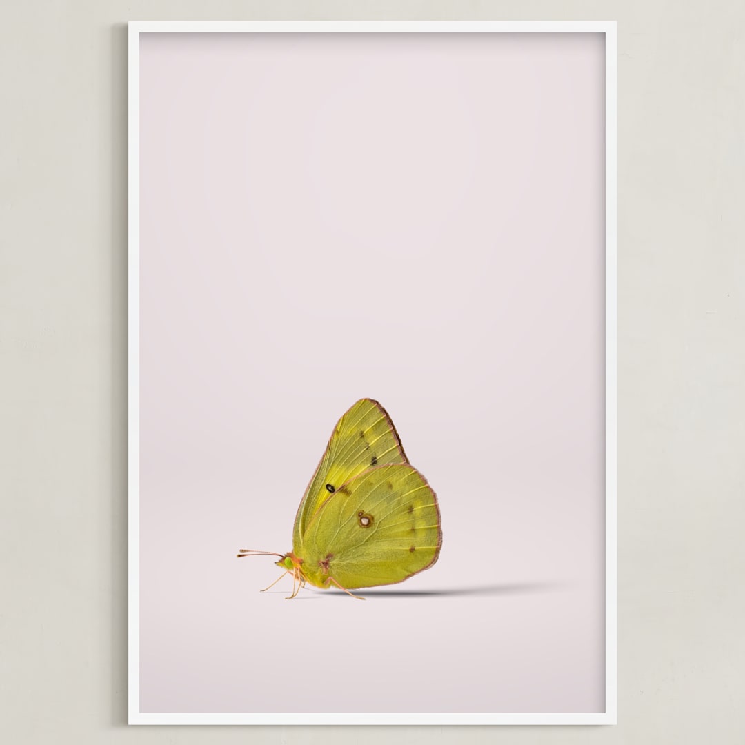 "Tiny Wings" - Art Print in Dusty Pink by Andrew McClintock - Framed