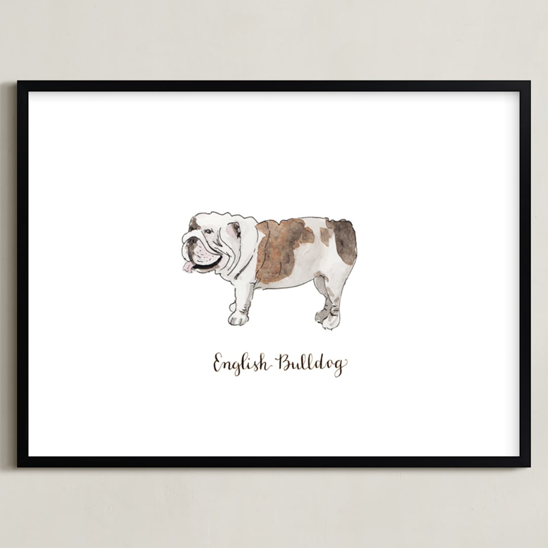 "English Bulldog" - Art Print in Brown by Megan Kelso - Framed