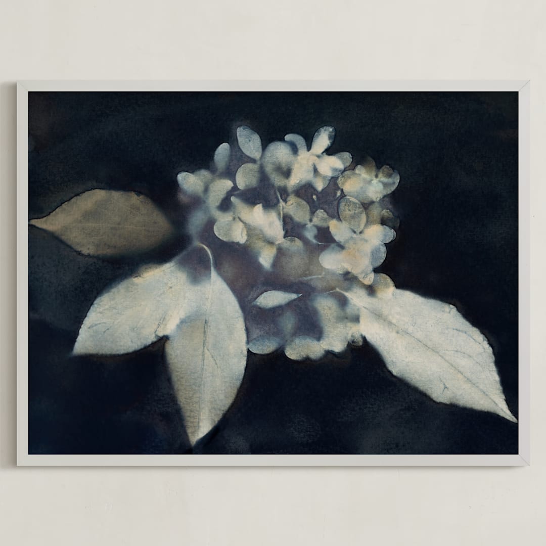 "Hortensia" - Art Print in Midnight by Courtney Crane - Framed