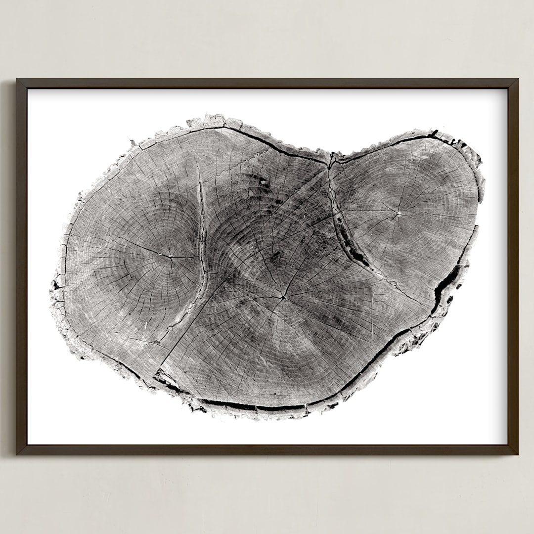 "Tree Rings pt. 1" - Art Print in Black by Mackenzie Darrach - Framed