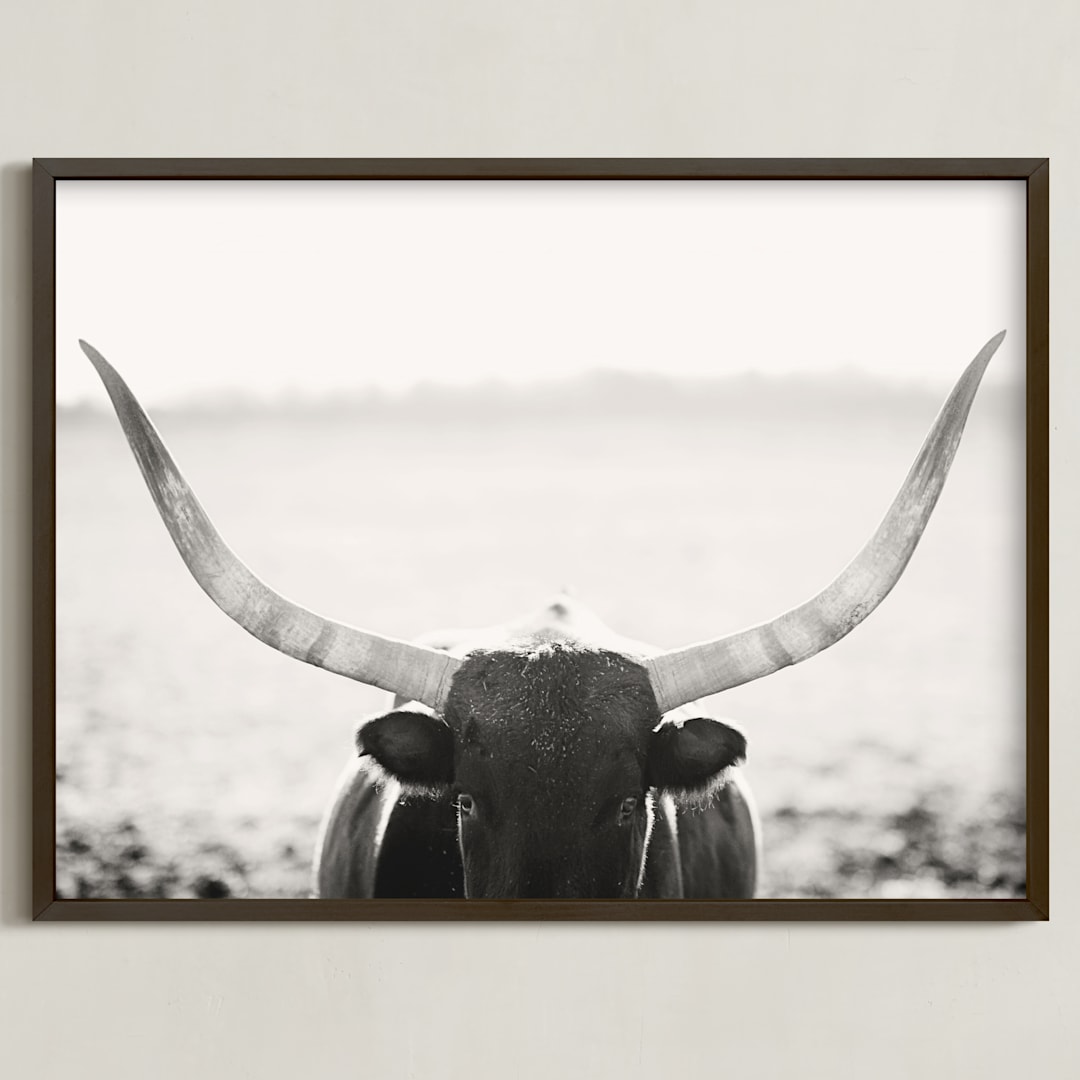 "Staredown" - Art Print in Soft Black by Amy Carroll - Framed