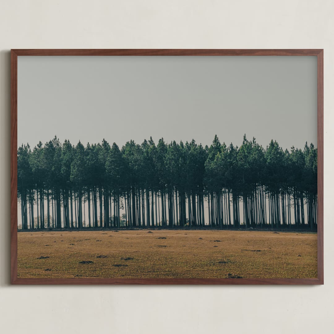"Moody Trees" - Art Print in Pine by Zani van Zyl - Framed