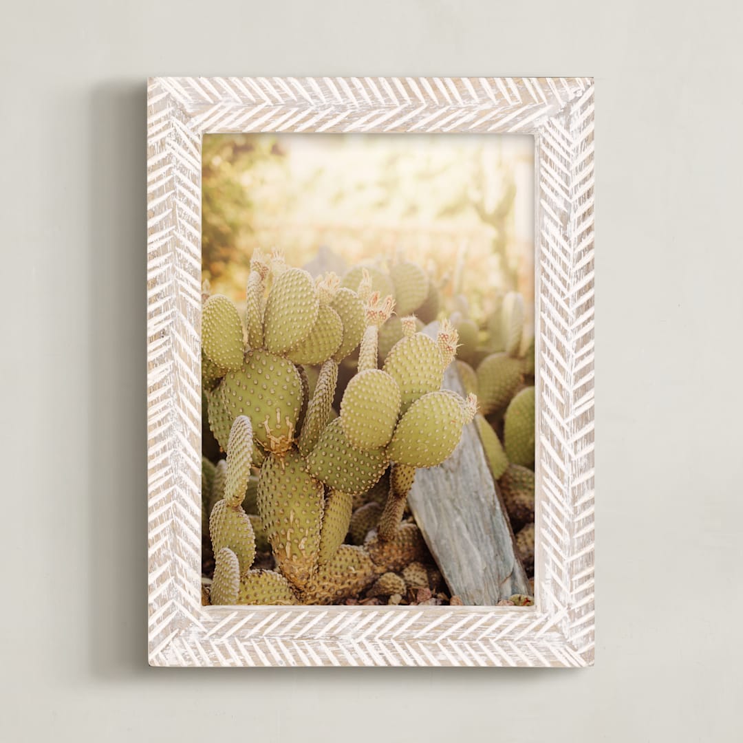 "Prickly Pear" - Art Print in Cacti Green by Hollie Renner Photography - Framed