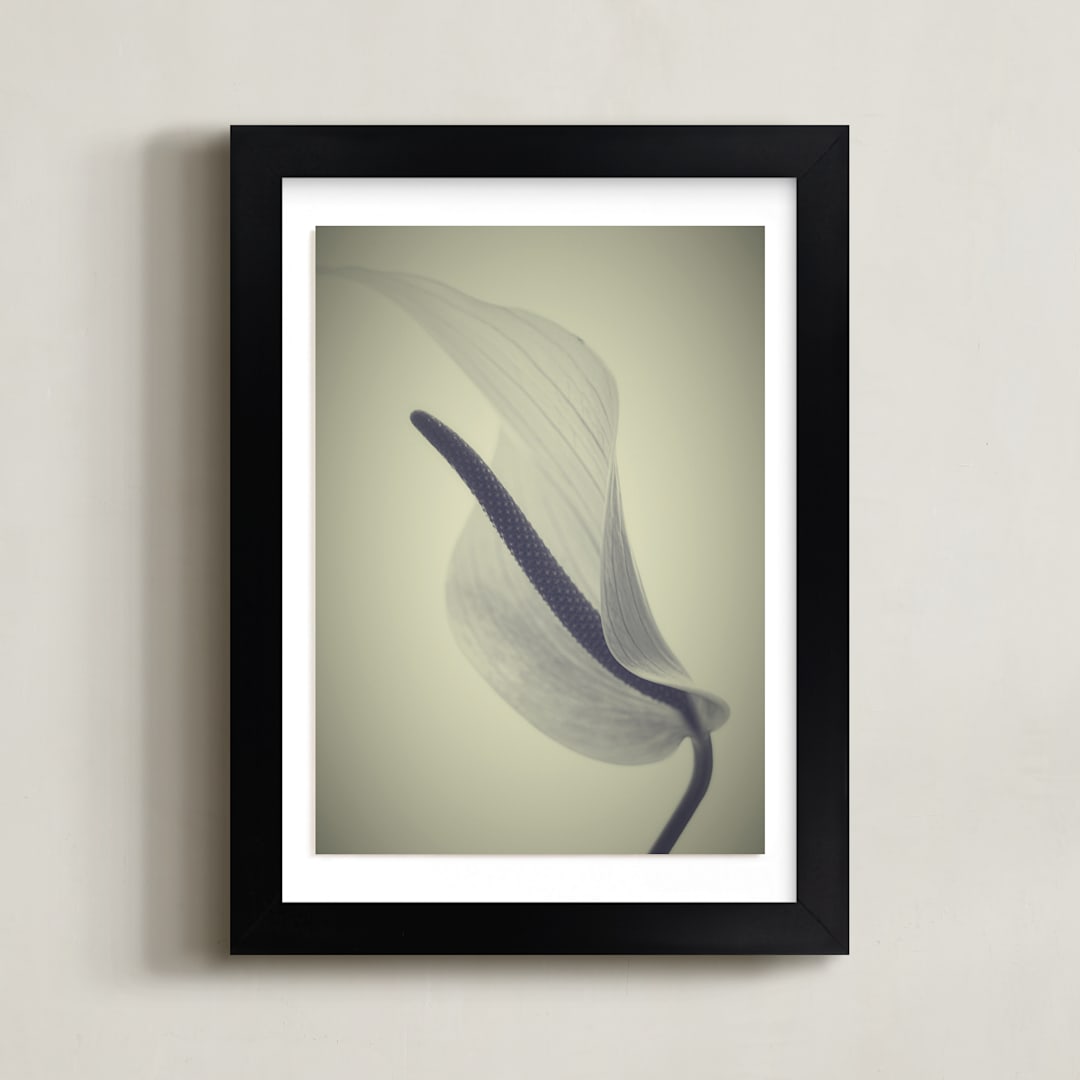 "My Love for Calla #1" - Art Print in dark beige by M.E.Segantini - Framed