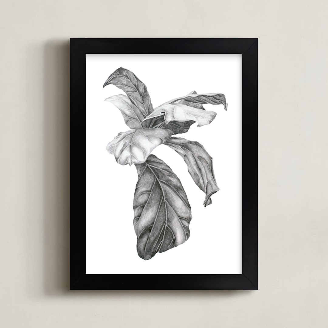 "Fiddle Leaf Fig Leaves" - Art Print in Graphite Grey by Melinda Frye - Framed