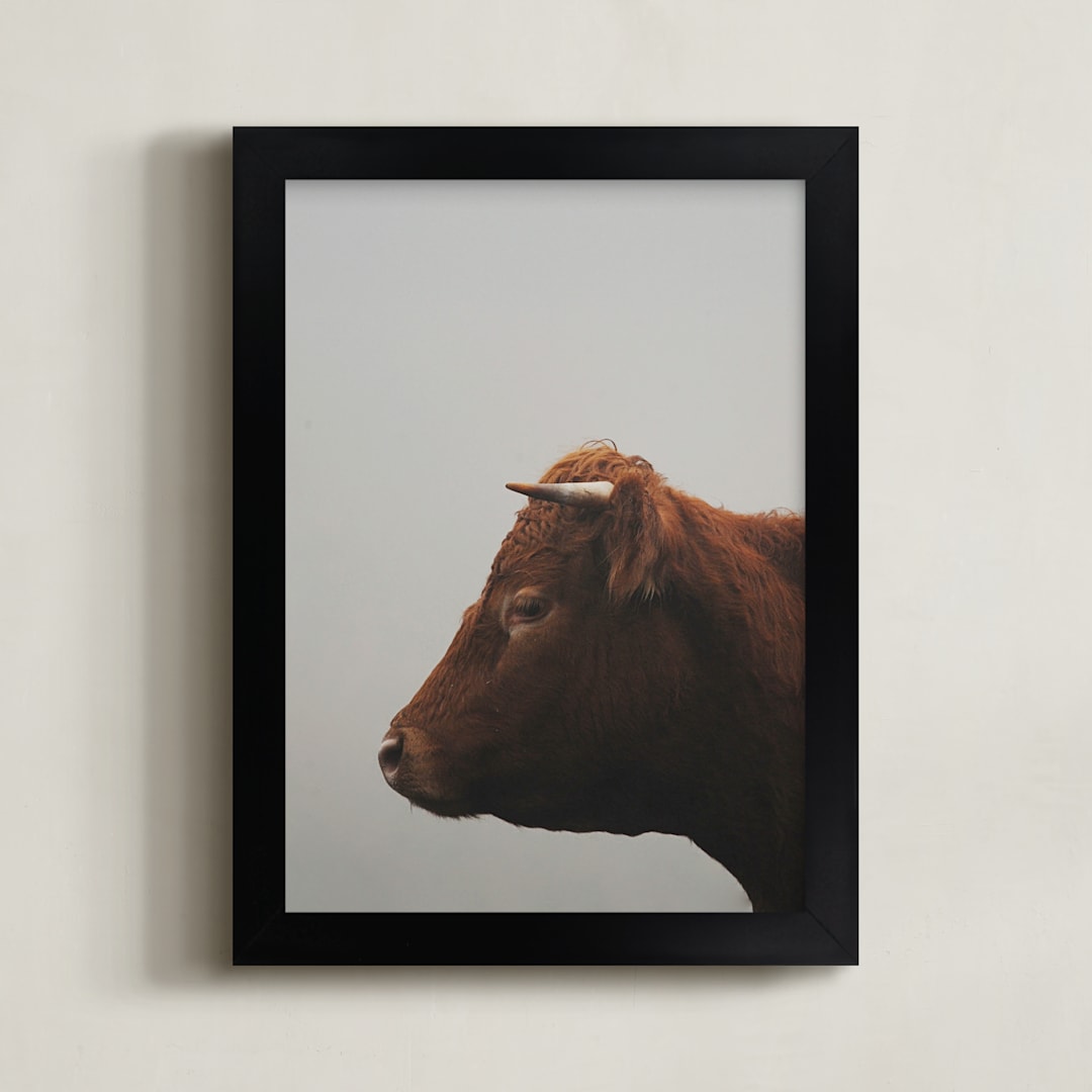 "Isla" - Art Print in Moody Grey by Amy Carroll - Framed