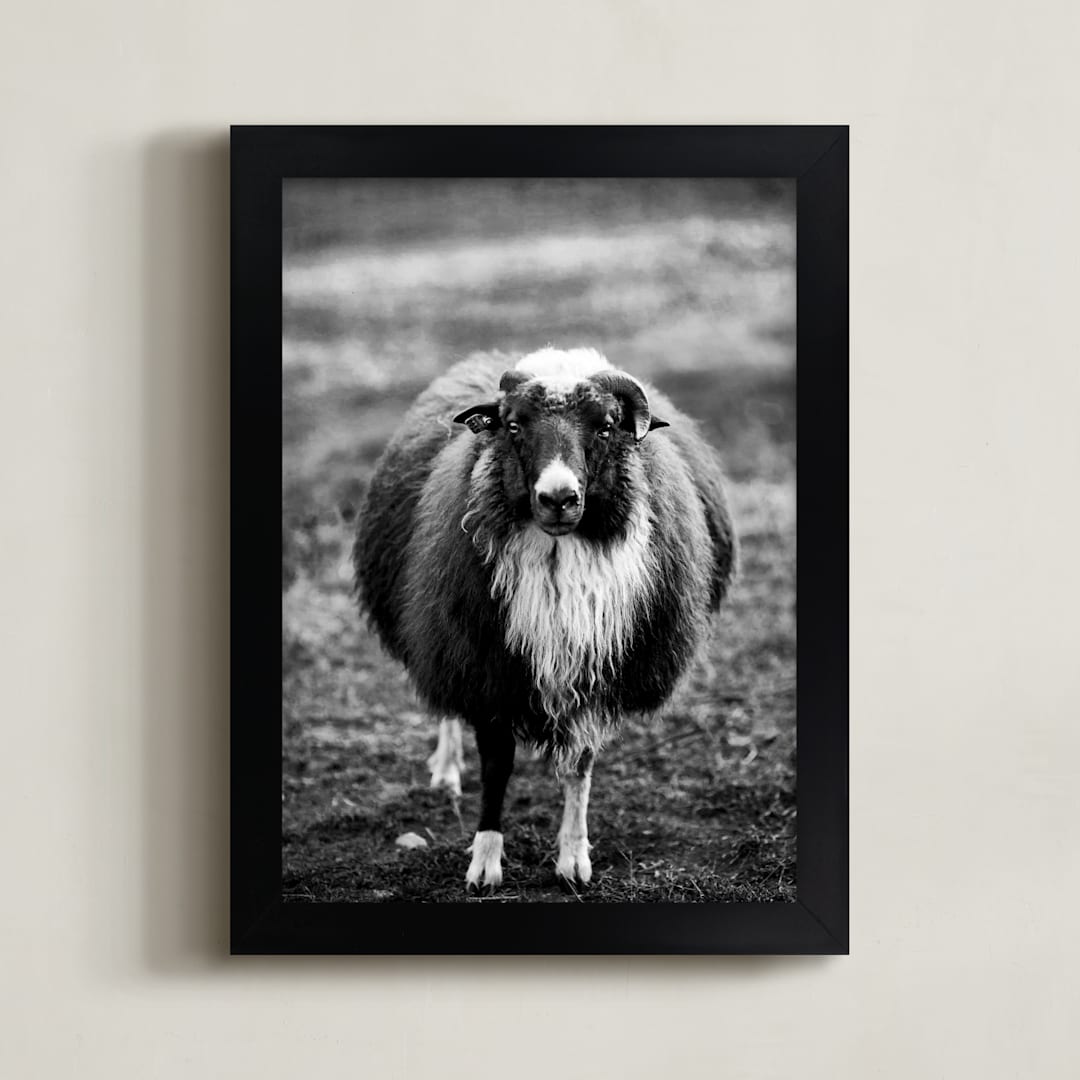 "The General" - Art Print in Black and White by Kaitie Bryant - Framed