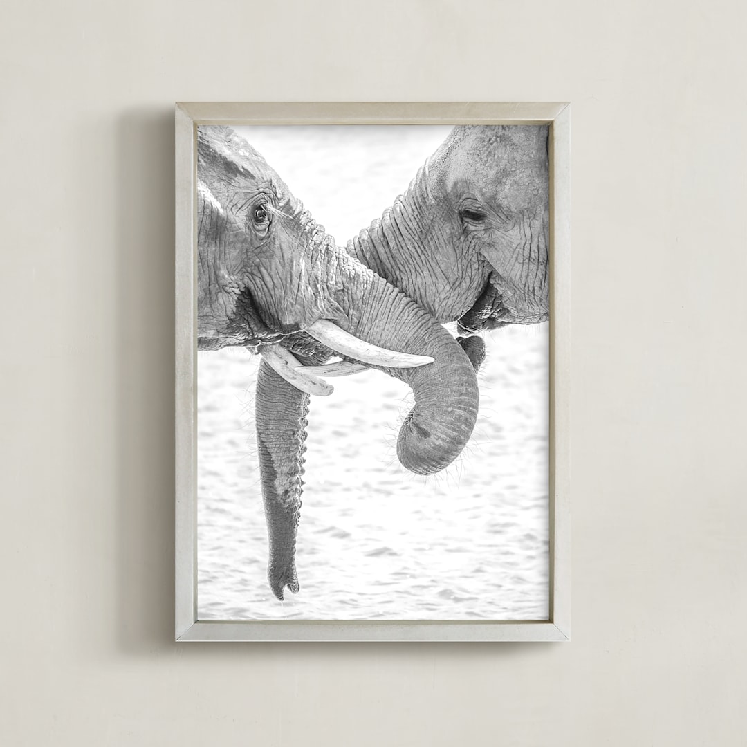 "Elephant Love" - Art Print in Black and White by Jennifer Mckinnon Richman - Framed