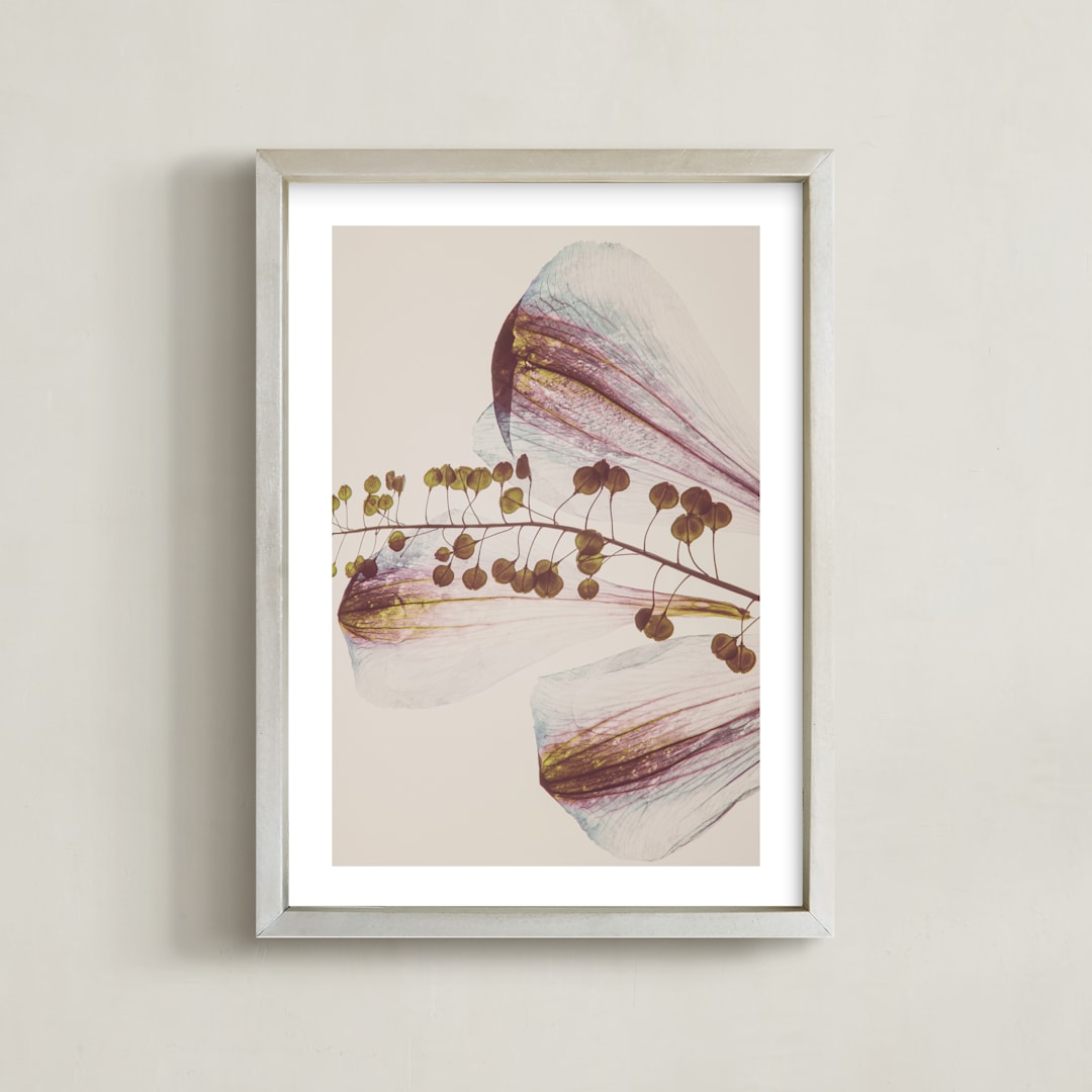 "Delicate Petal" - Art Print in Vintage by Karen Kardatzke - Framed