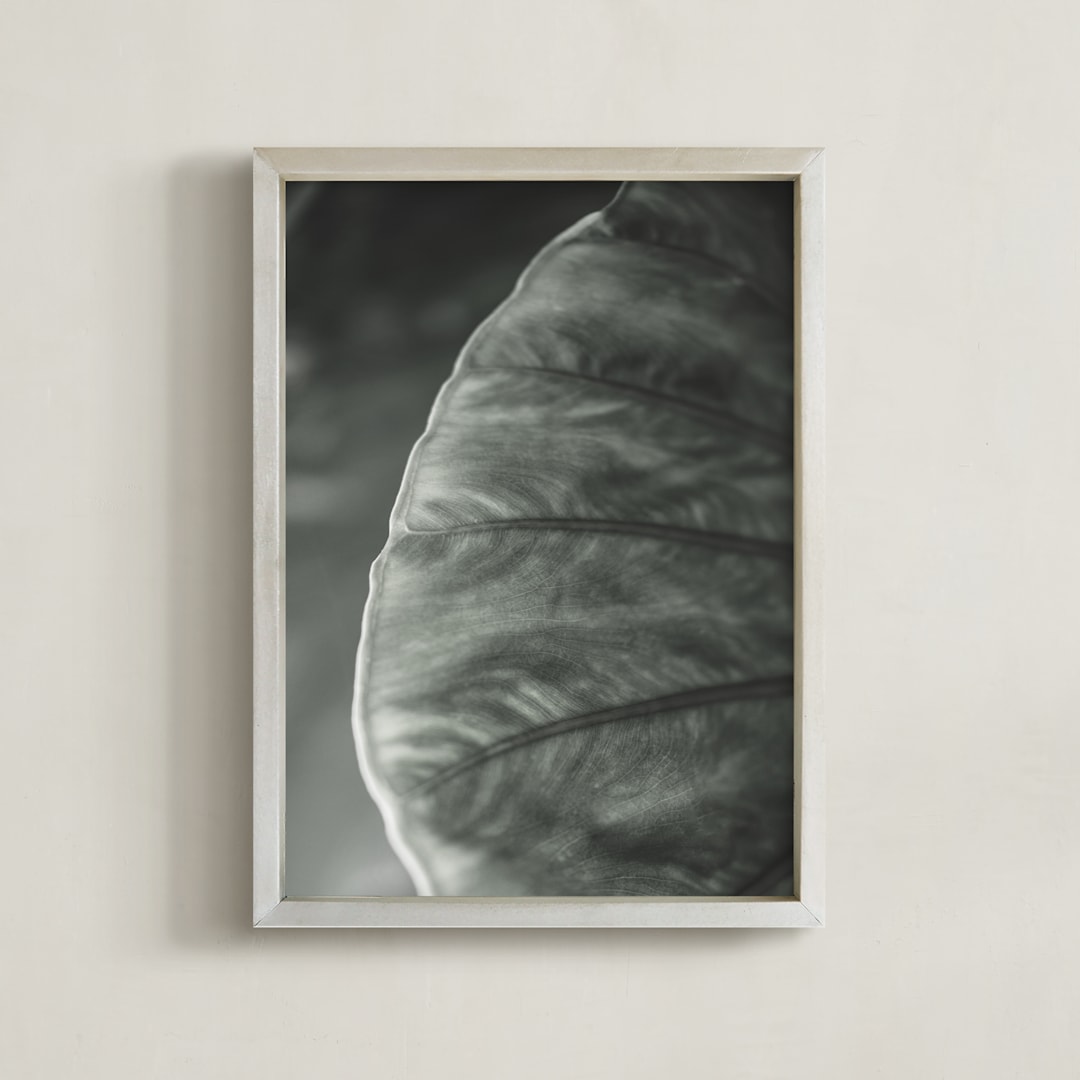"Leaf Series Nº1" - Art Print in Silver Sage by Anne Ciotola - Framed
