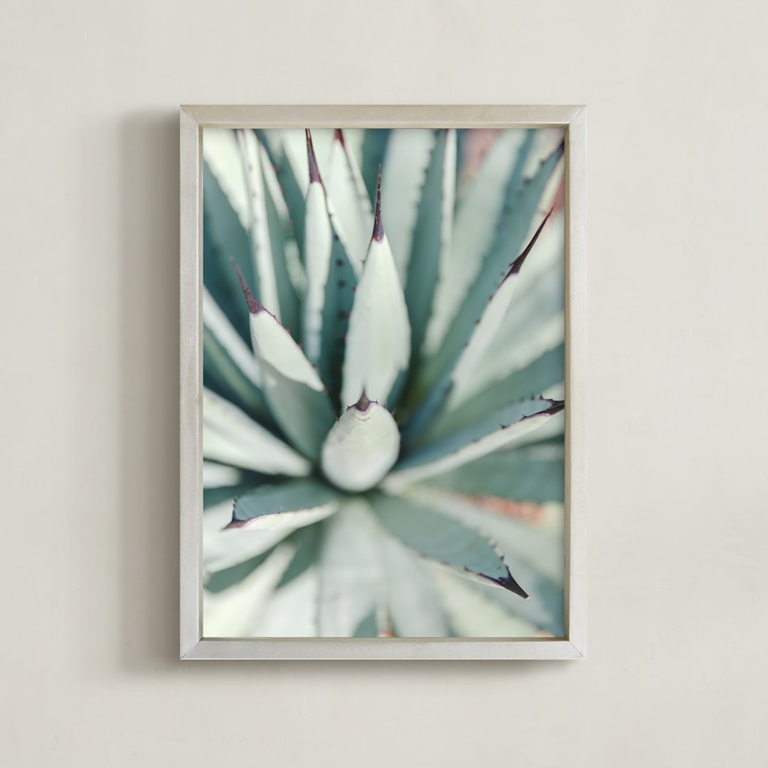 "Todos Santos IV" - Art Print in Desert Green by Lindsay Ferraris Photography - Framed