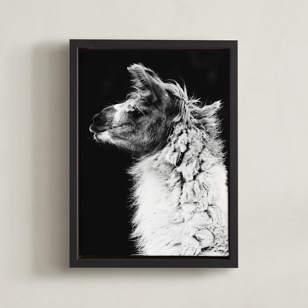 "Kai" - Art Print in Black White by Amy Carroll - Framed Canvas