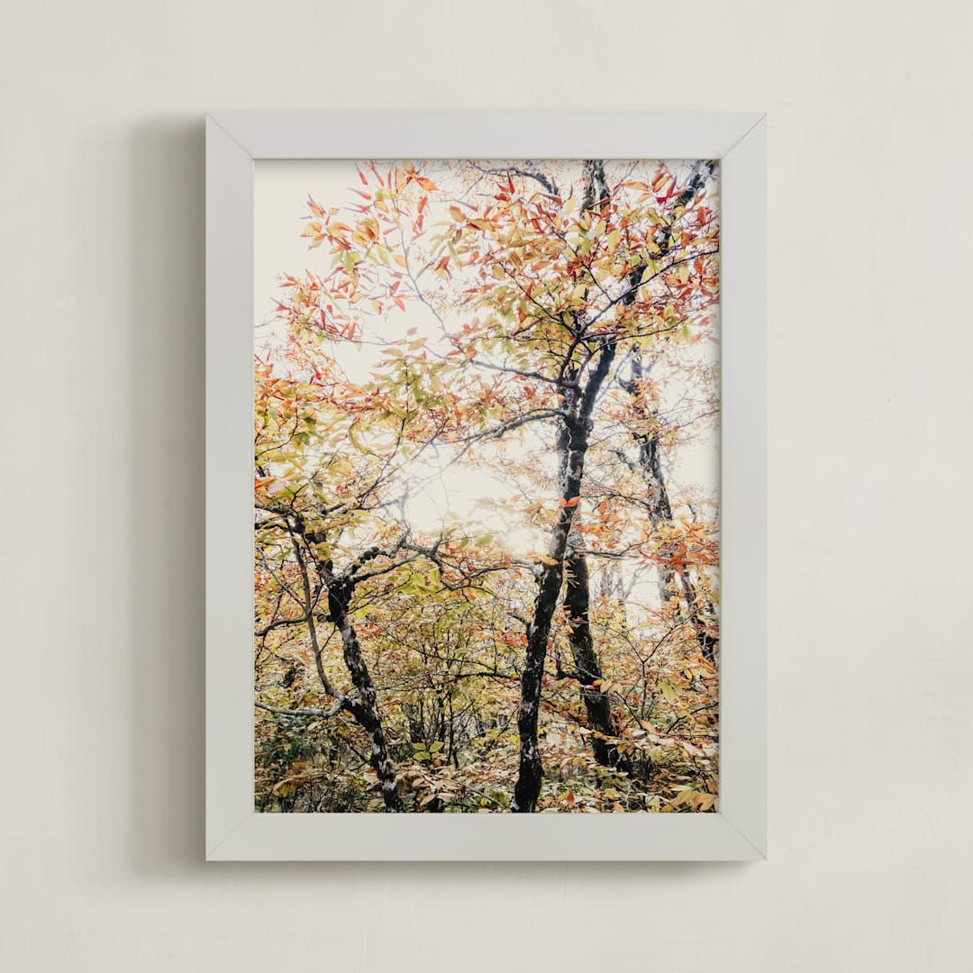 "Tenacity" - Art Print in Amber by Courtney Crane - Framed