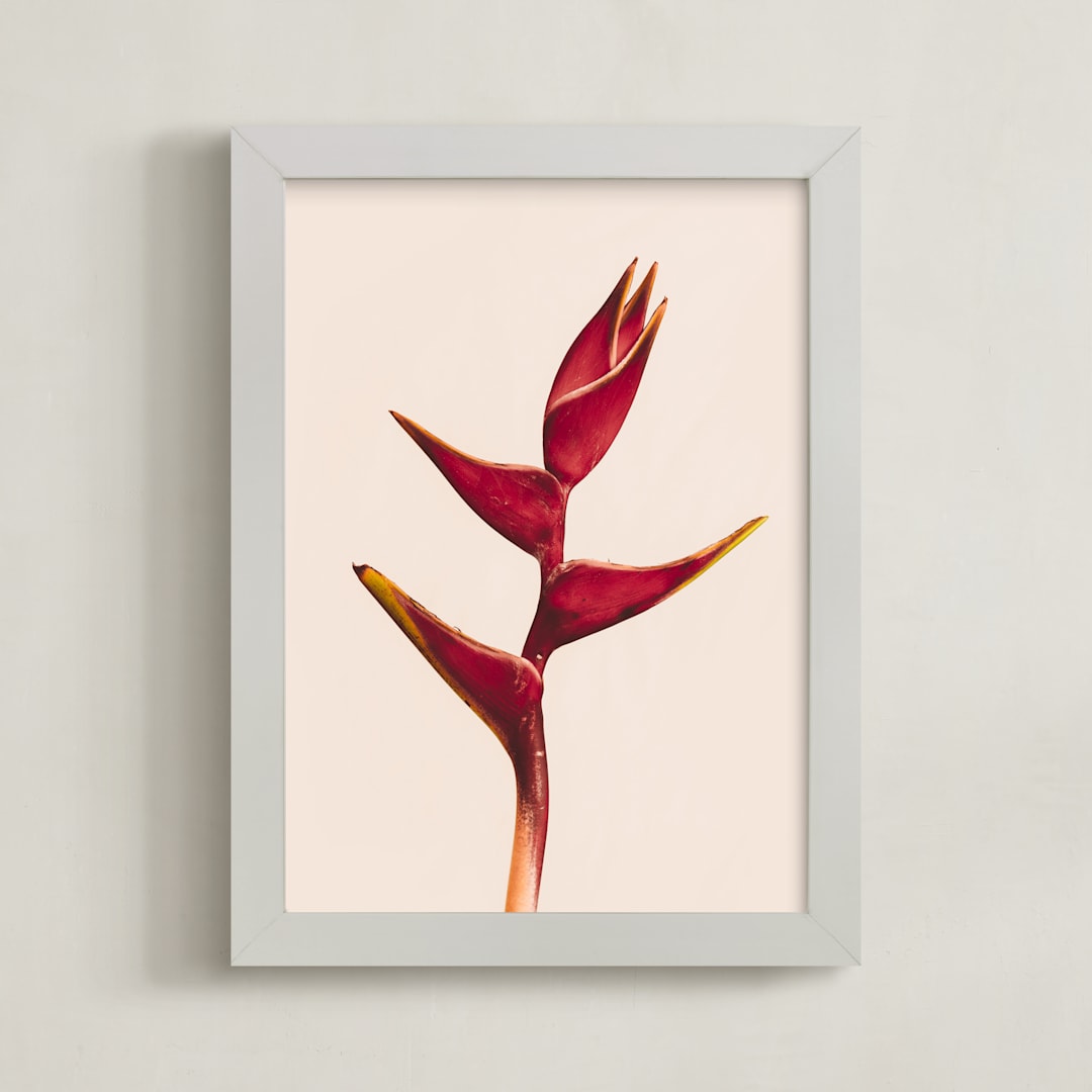 "heliconia 3" - Art Print in Heliconia by Kamala Nahas - Framed