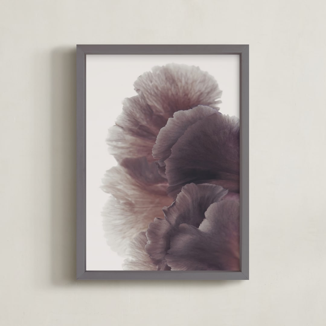 "Ruffled" - Art Print in Orchid by Karen Kardatzke - Framed