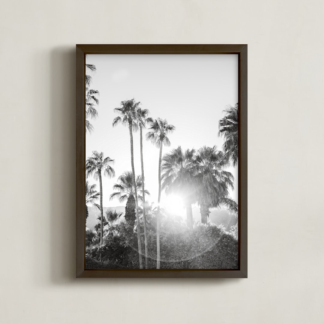 "Sunflare Palms" - Art Print in Flare by Jamie Lollback - Framed