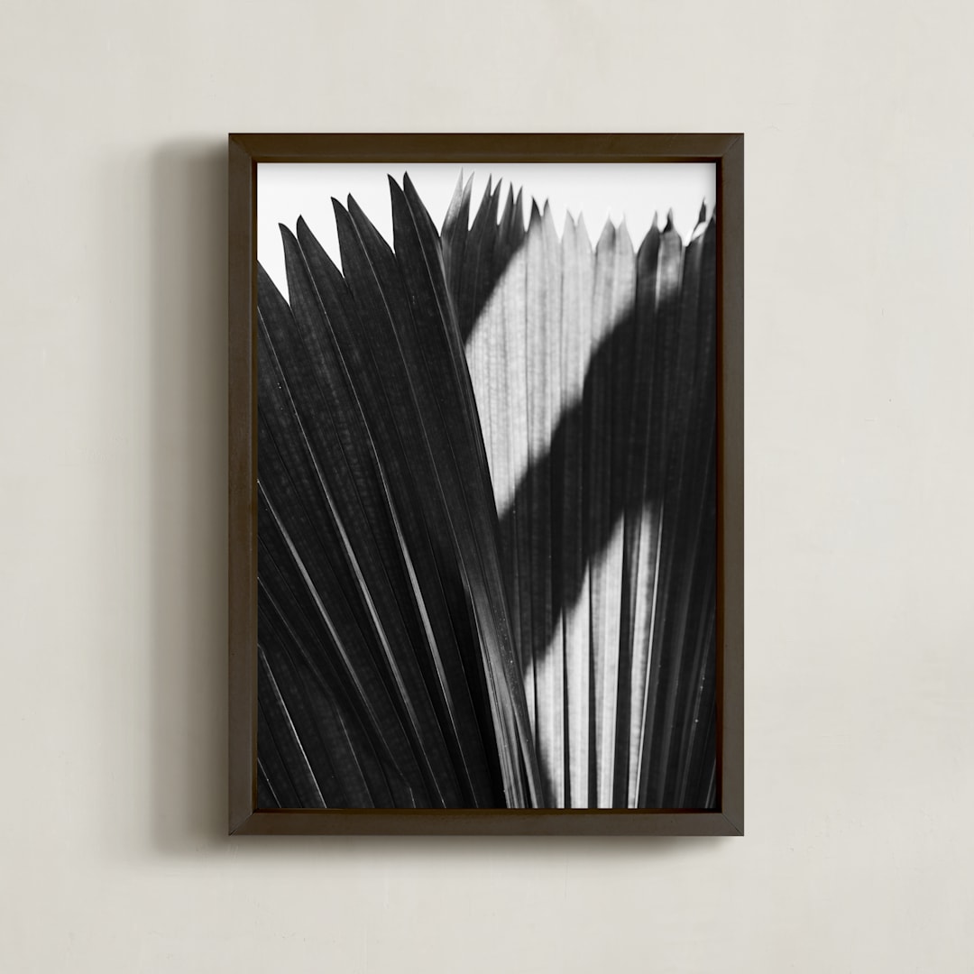 "Palmery 2" - Art Print in Black and White by Catherine Culvenor - Framed