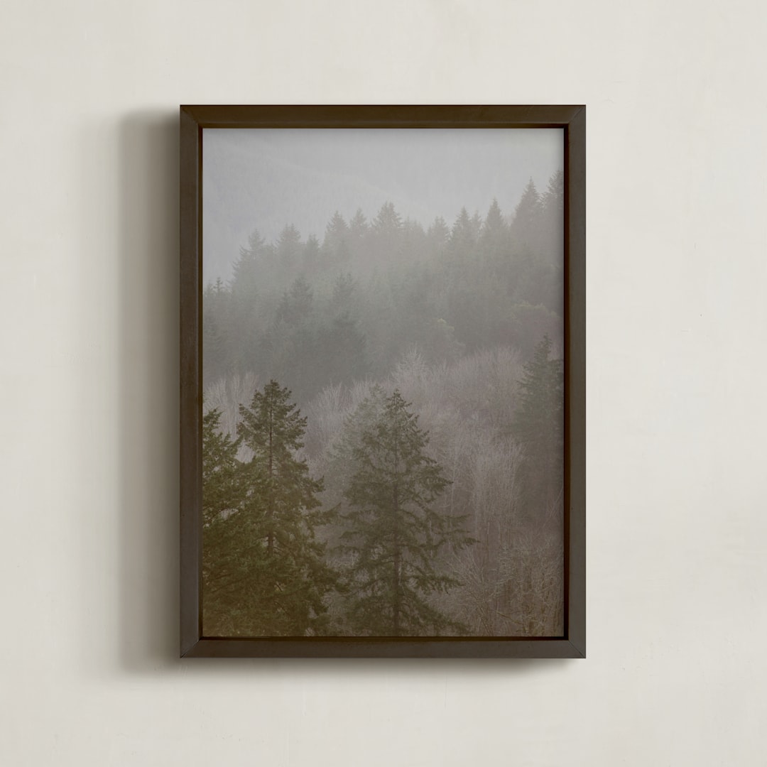 "Pine Forest" - Art Print in White by Crystal Lynn Collins - Framed