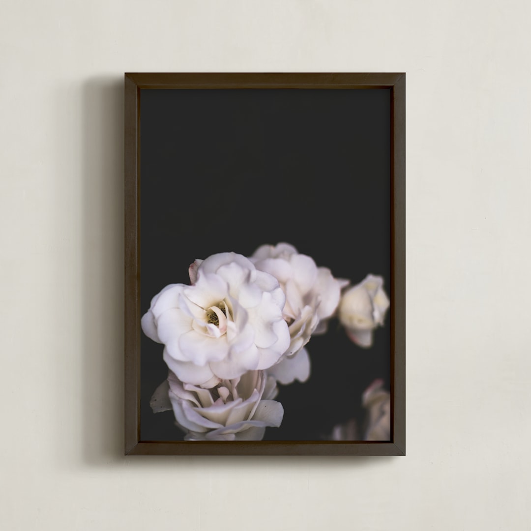 "Midnight Bloom" - Art Print in blush by Kamala Nahas - Framed
