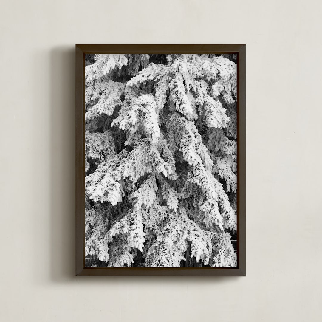 "Frost 3" - Art Print in Black & White by Ardell McLennan - Framed