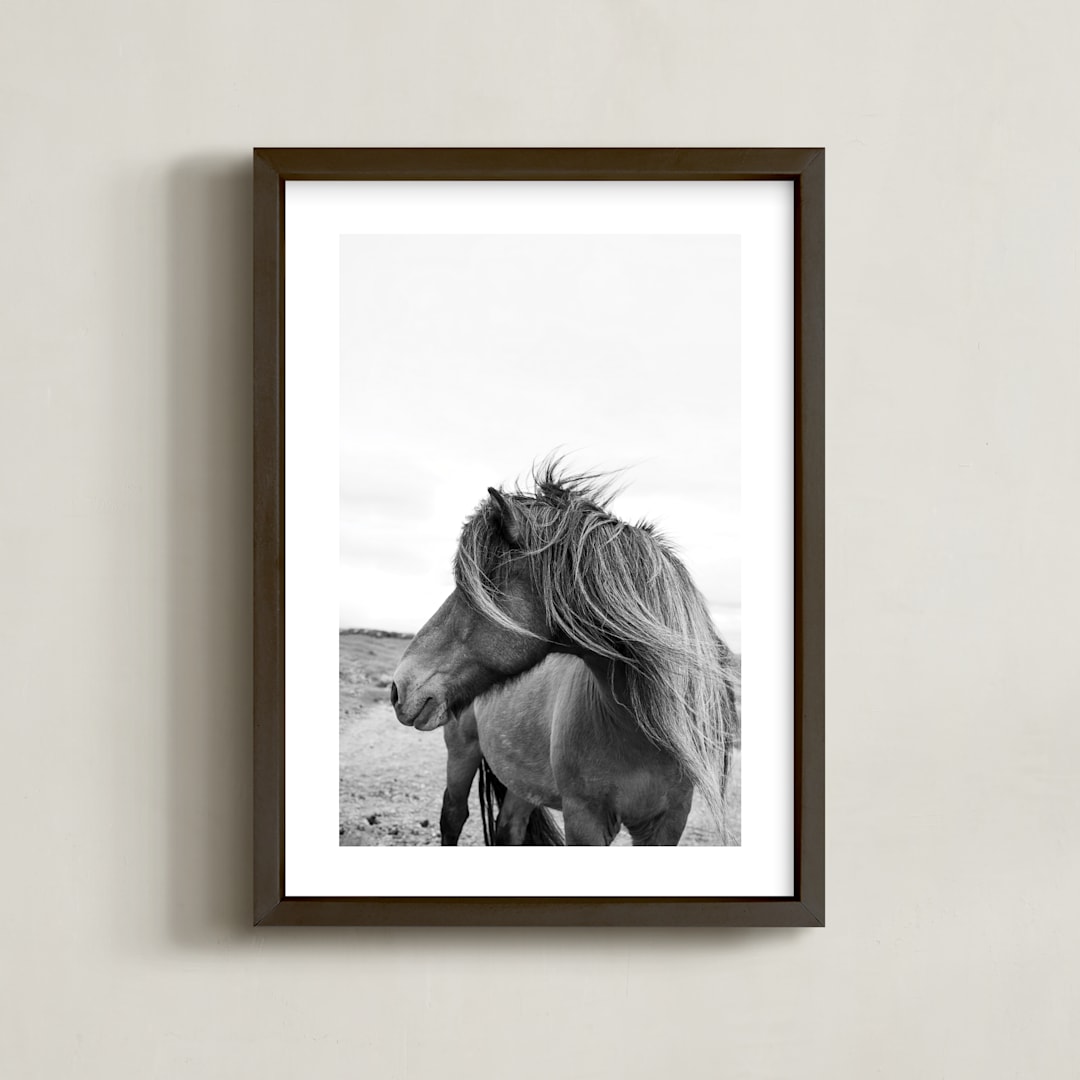 "A Horse and the Wind" - Art Print in Icland wind by Ilze Lucero - Framed