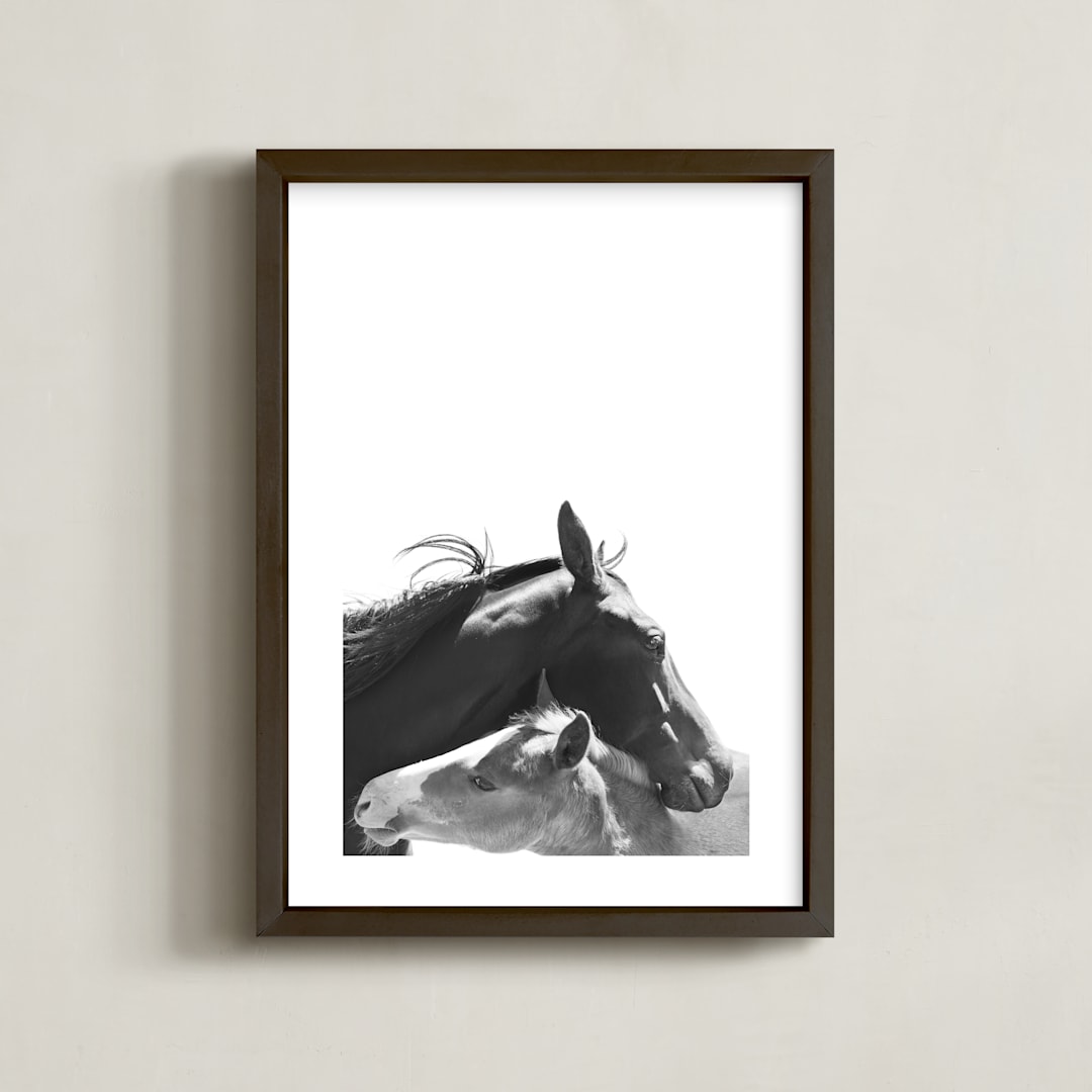 "Foal" - Art Print in Charcoal by Anne Ciotola - Framed