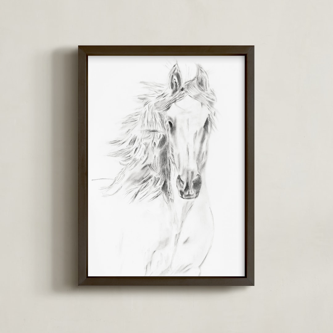 "Equine Vanity" - Art Print in original charcoal by Ramnik Velji - Framed