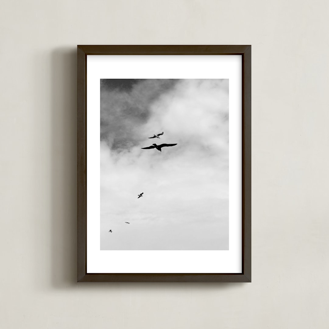 "Soaring Trio 3" - Art Print in Charcoal by Three Wings North - Framed