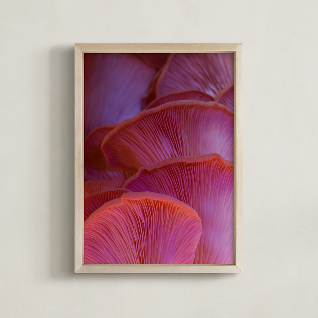 "Pink Oyster Mushrooms" - Art Print in Dreamy Pink Violet by Elena Kulikova - Framed