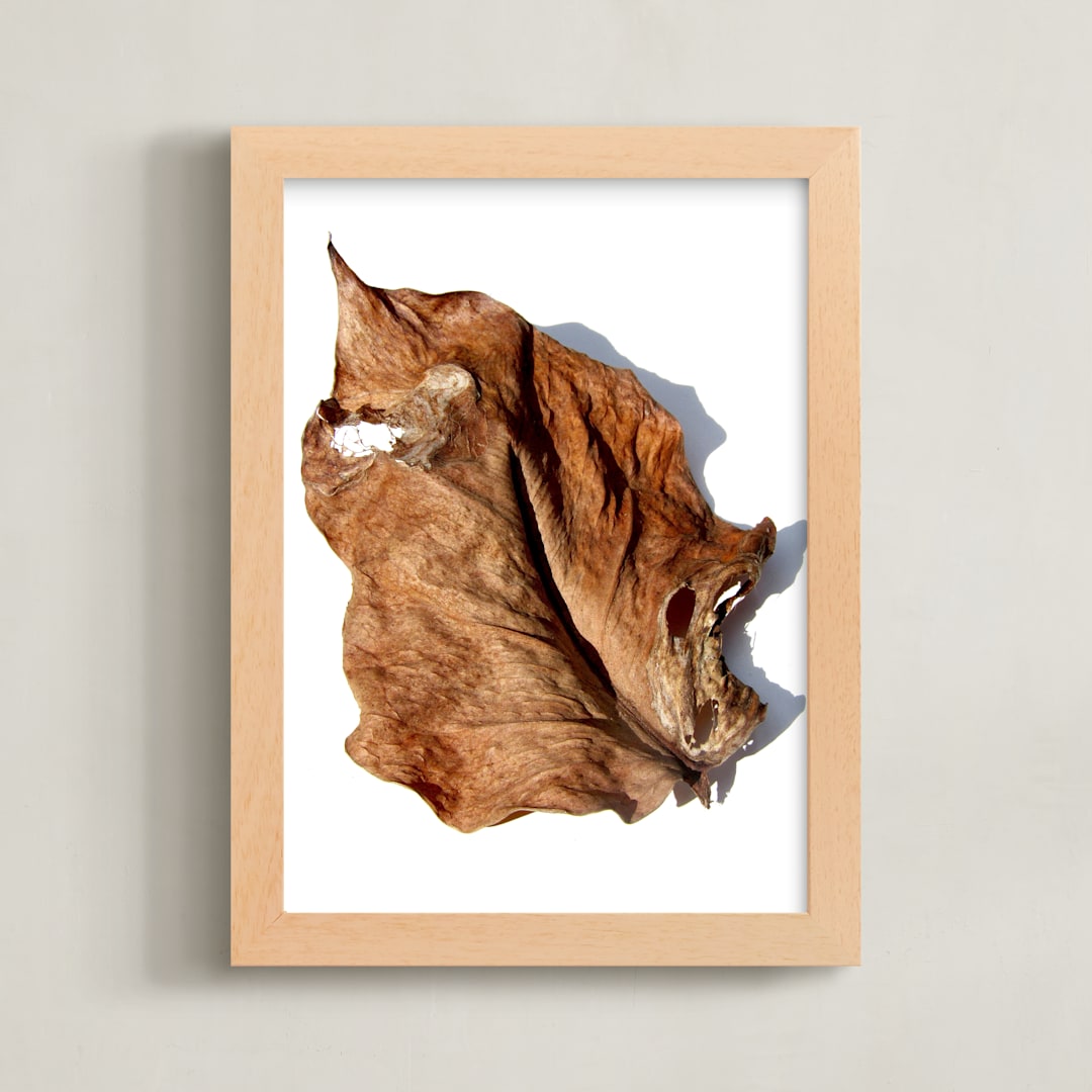 "Brown Leaf Study #1" - Art Print in Brown by Jonathan Brooks - Framed