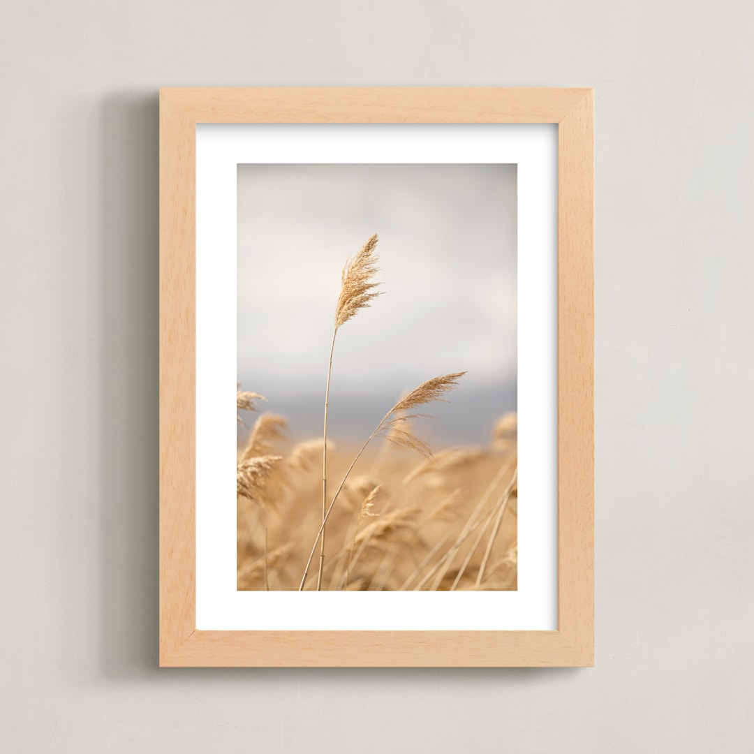 "marsh grass" - Art Print in Golden by Crystal Lynn Collins - Framed