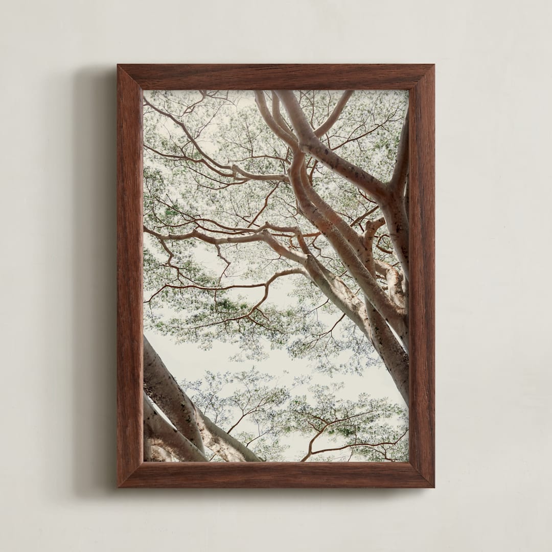 "Tapestry II" - Art Print in Woodland Green by Alicia Abla - Framed