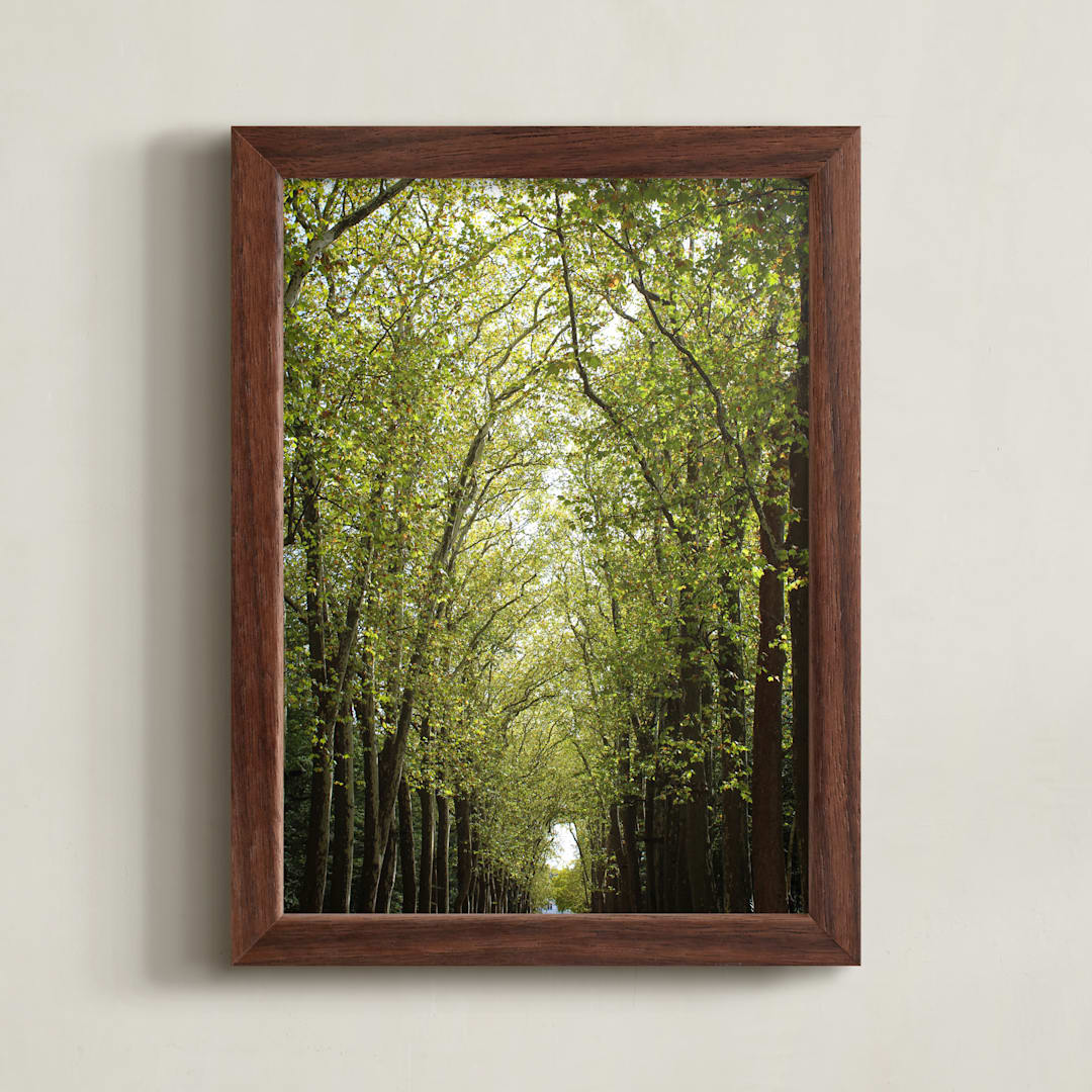 "Canopy of Trees" - Art Print in Green by Eric Clegg - Framed