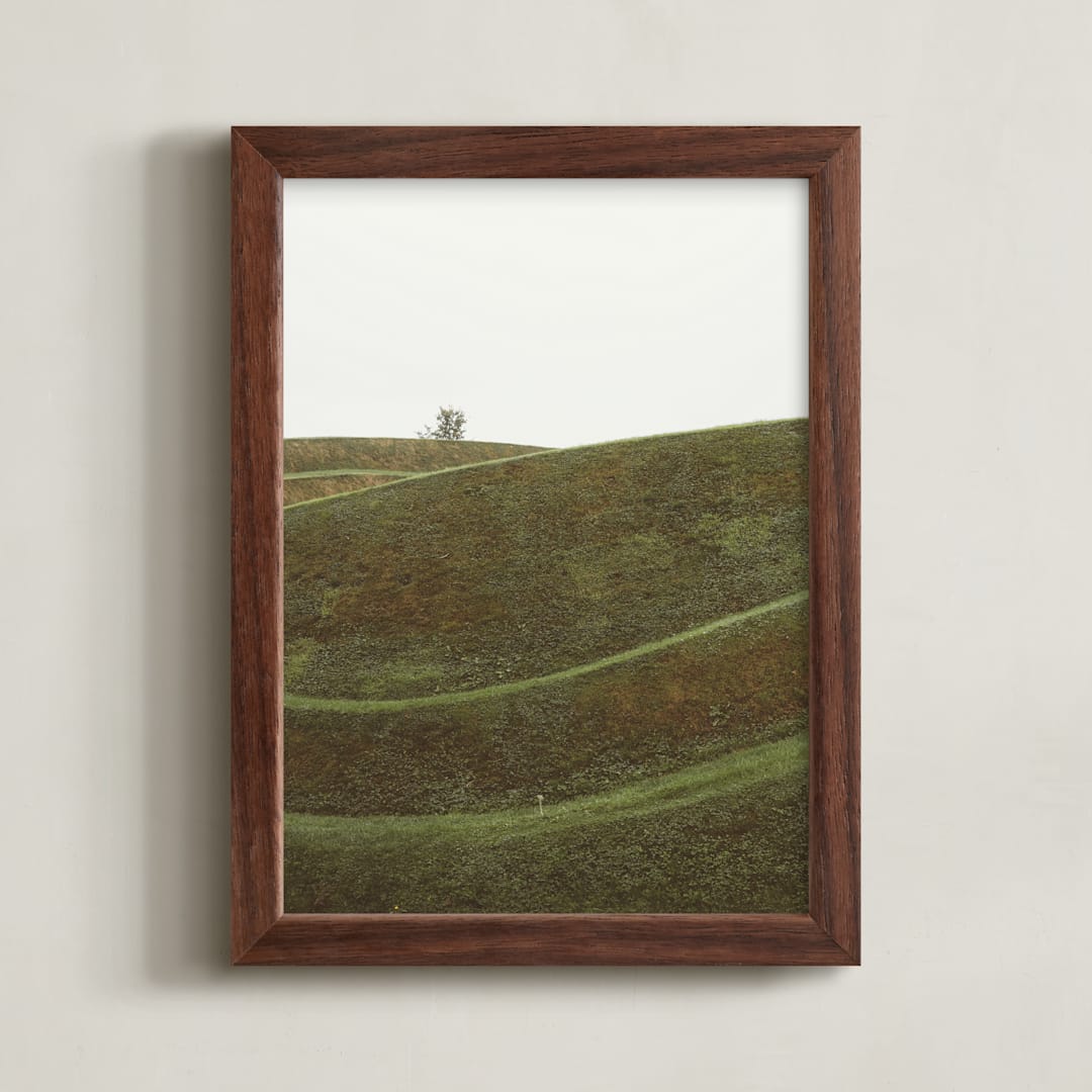 "Swooped I" - Art Print in Bog by Kamala Nahas - Framed