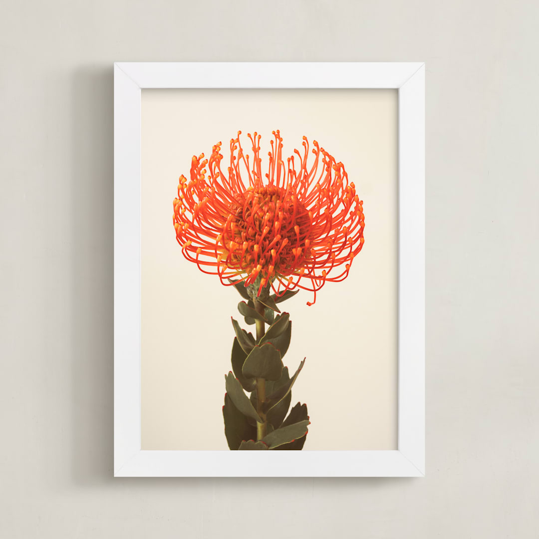 "Protea I" - Art Print in tangerine by Kamala Nahas - Framed
