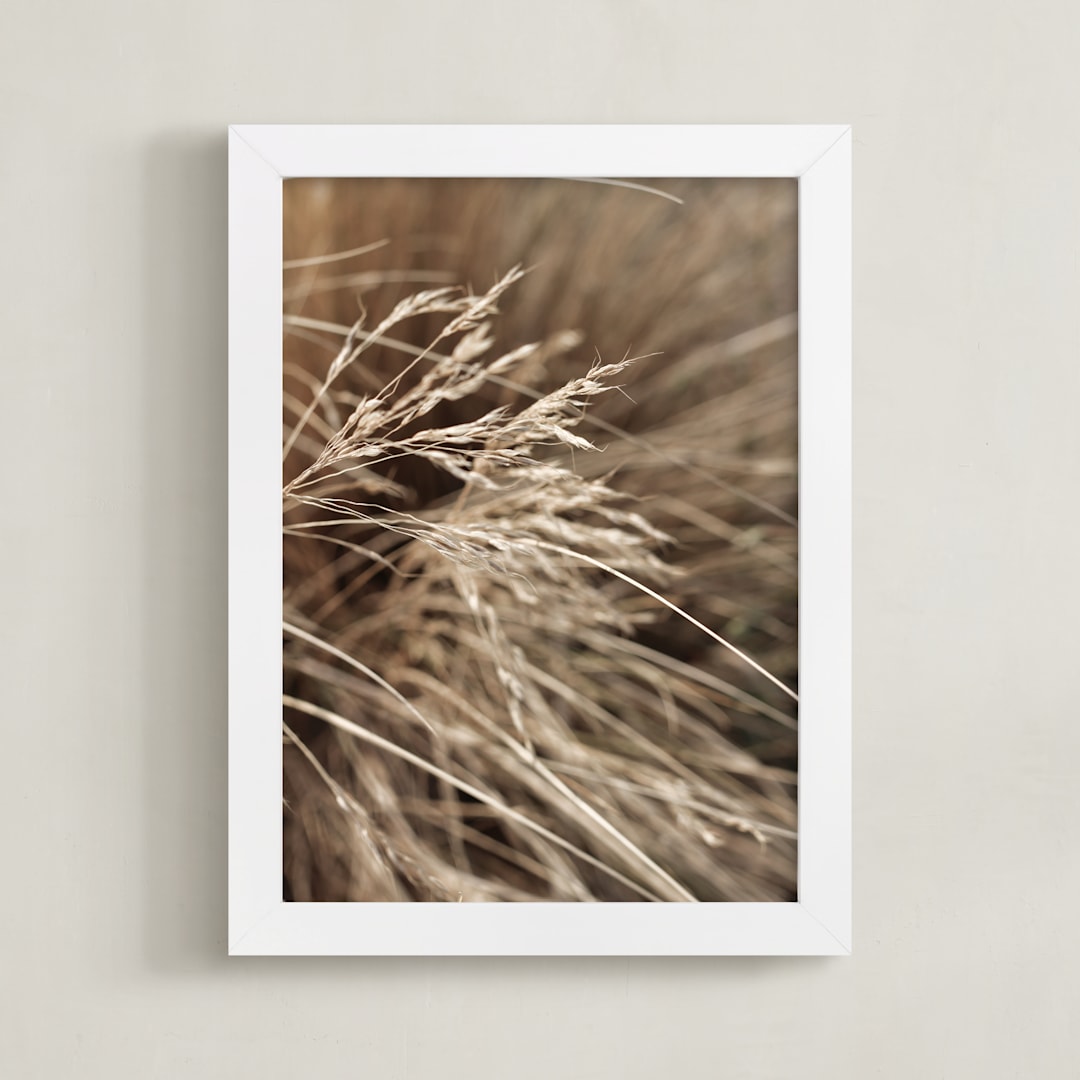 "Summertime 2" - Art Print in Lucca by Bethania Lima - Framed