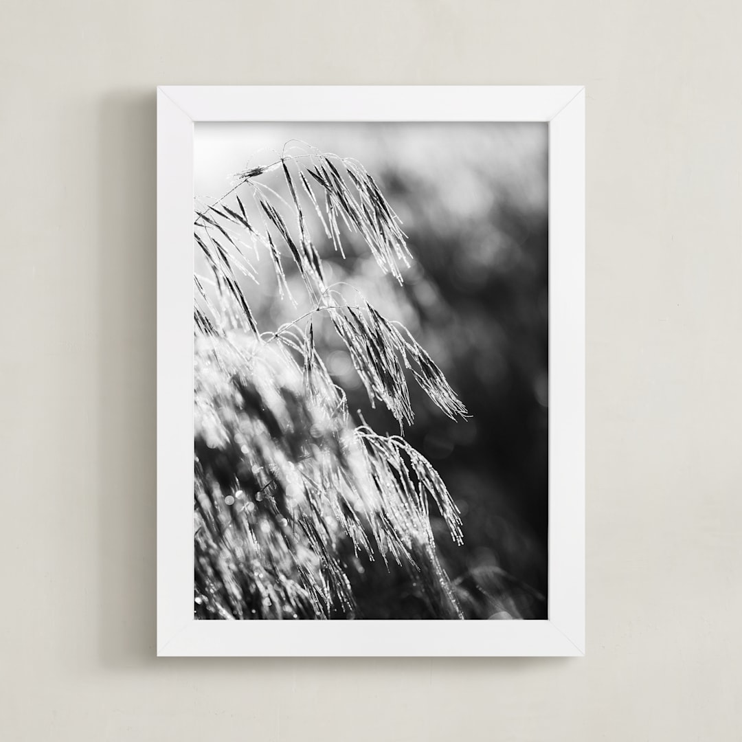 "Dancing grass II" - Art Print in Shadow by Magdalena Kucova - Framed