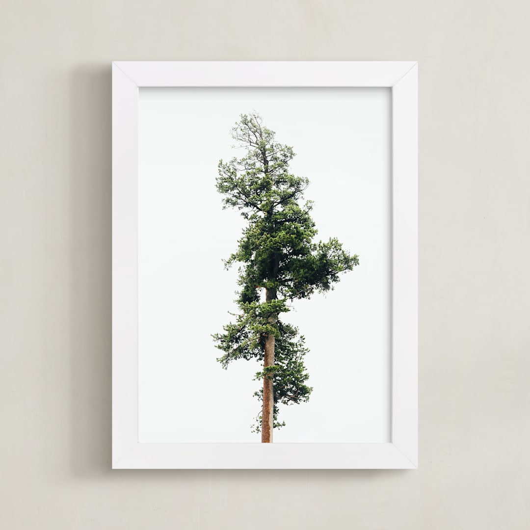 "Solo" - Art Print in spring rain by Kamala Nahas - Framed
