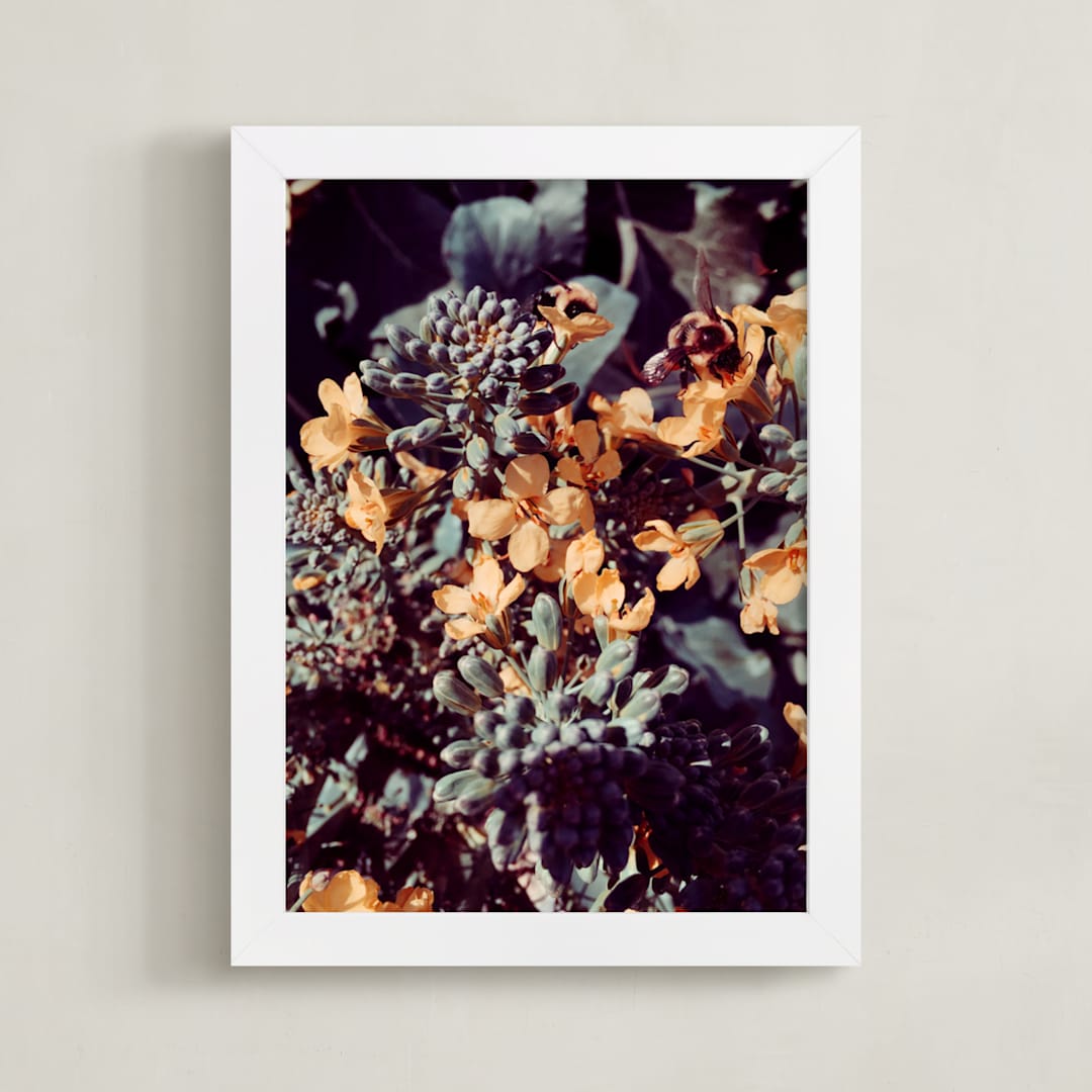 "Broccoli Bees" - Art Print in Honey by Belia Simm - Framed