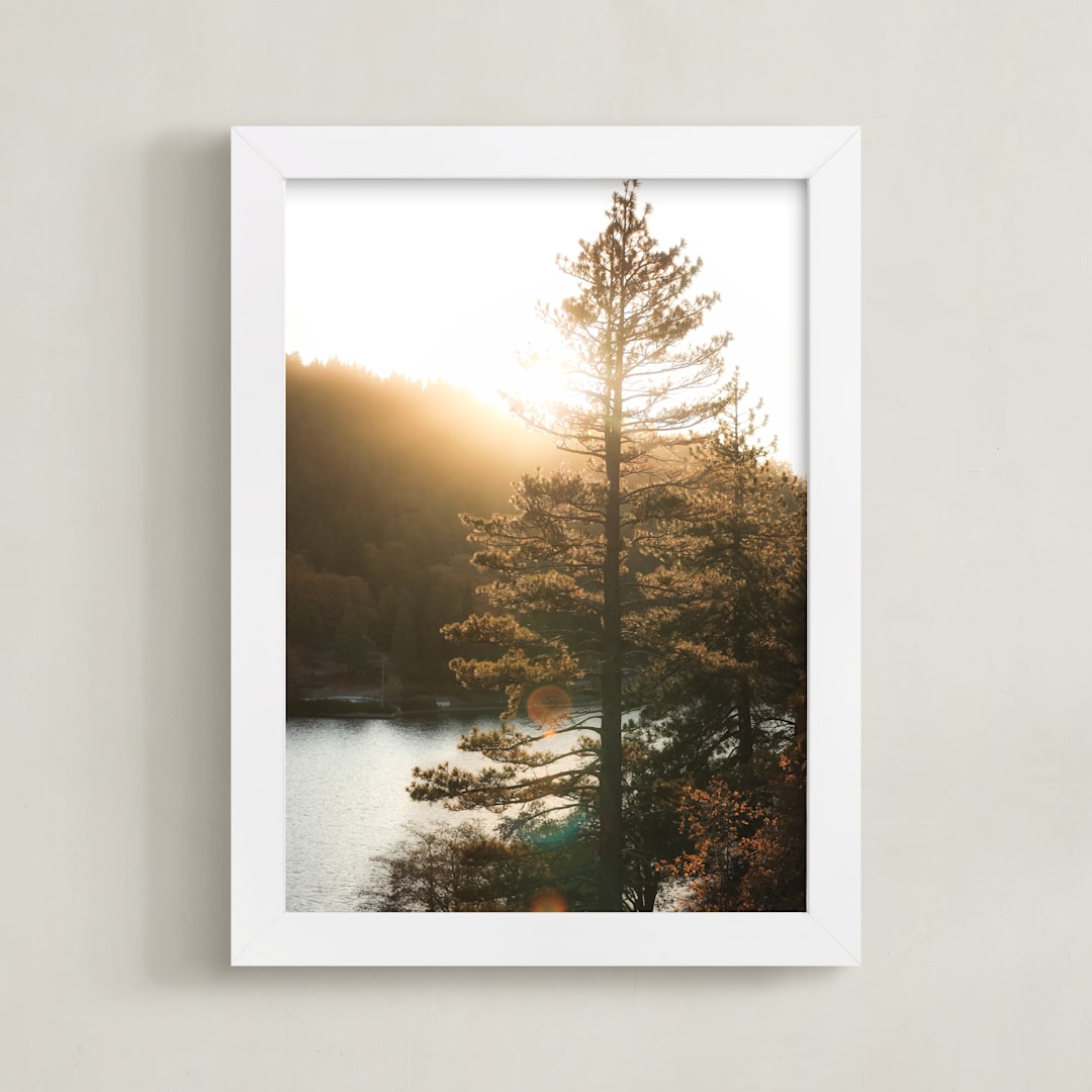 "Alpine Light 1" - Art Print in Golden Hour by Shannon Howard - Framed
