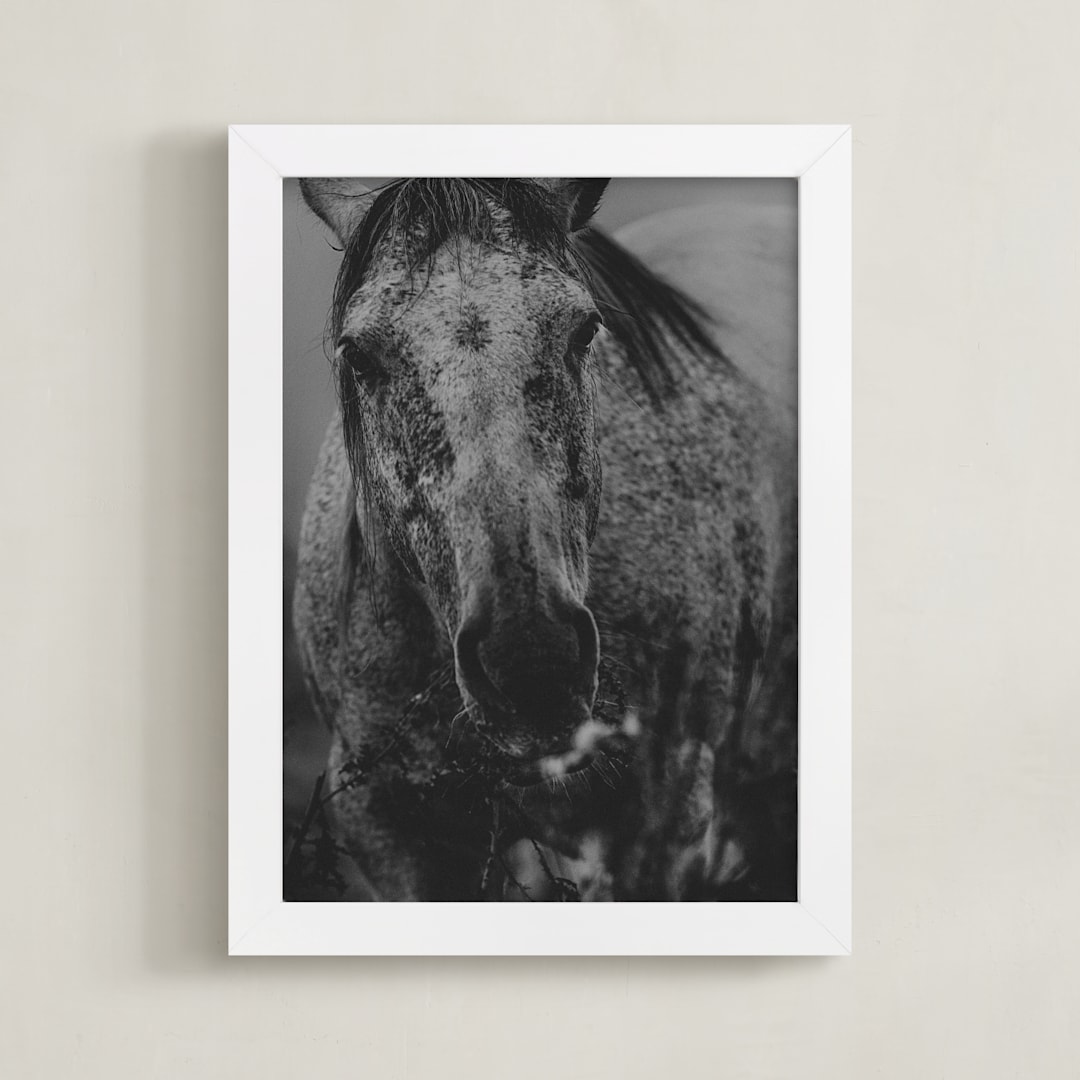 "Dawn Riser" - Art Print in Smolder Black by Hollie Renner Photography - Framed