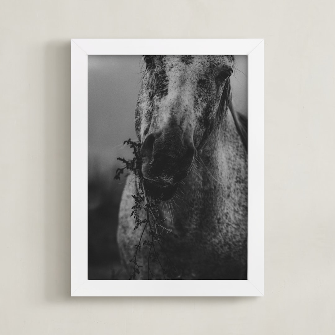 "Through the Thistle" - Art Print in Smolder Black by Hollie Renner Photography - Framed