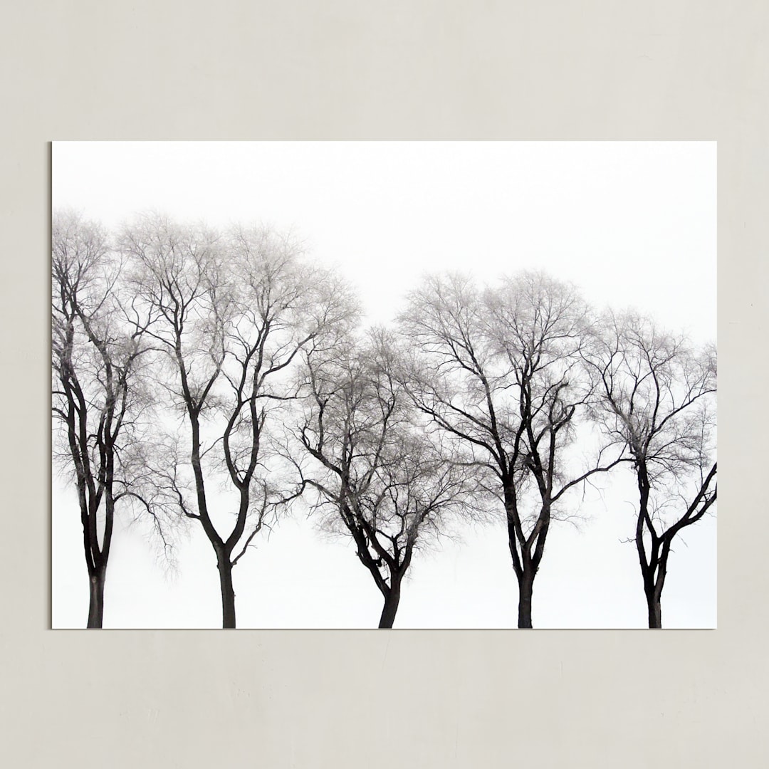 "abstract trees" - Art Print in ink by Baumbirdy - Unframed