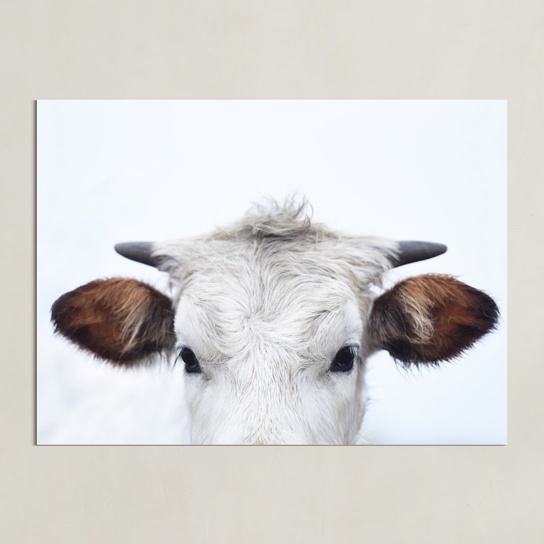 "Wee Staredown" - Art Print in Farm by Amy Carroll - Unframed