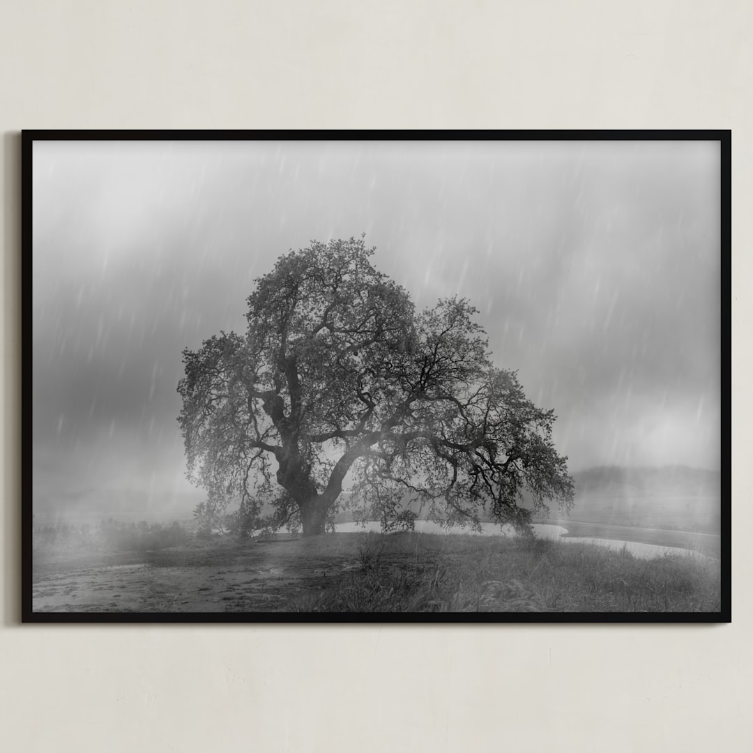 "in the rain" - Art Print in Stormy by Crystal Lynn Collins - Framed
