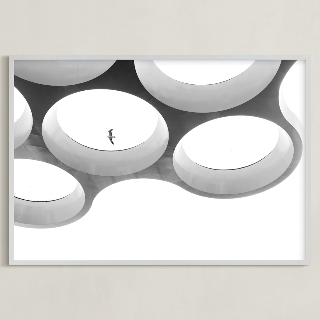 "In Flight" - Art Print in Black & white by Angie McMonigal - Framed
